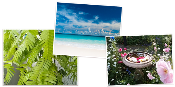 横浜　桜木町にあるエステサロン　エルニド　フェイシャル　アロマリンパマッサージ